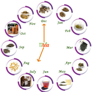 loose leaf tea by T7 TEA