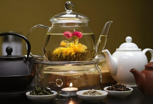 Teapot Material Comparison (Focus on Quick Brew)