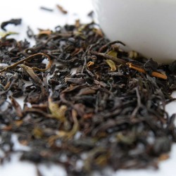 Darjeeling Spring First Flush 3oz