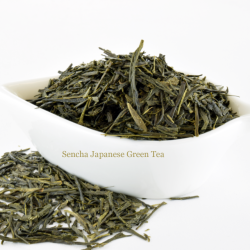 Sencha