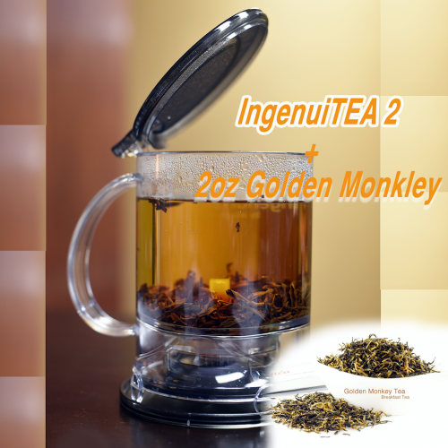 ingenuiTEA Loose Leaf Tea Teapot (16 oz) - Teapot (16 oz)