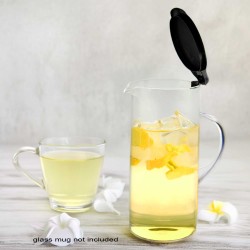 Glass Pitcher Glass Pitcher